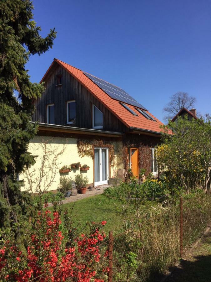 Nice Room In Green Pankow District Berlin Exterior foto